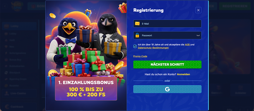5-Schritte Registrierung bei BirdSpin DE
