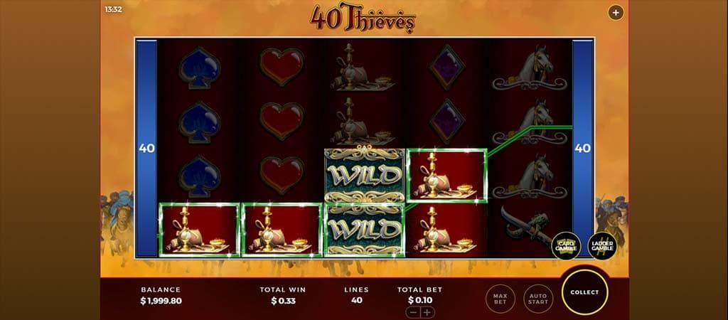 40 Thieves, Spielautomaten, wild